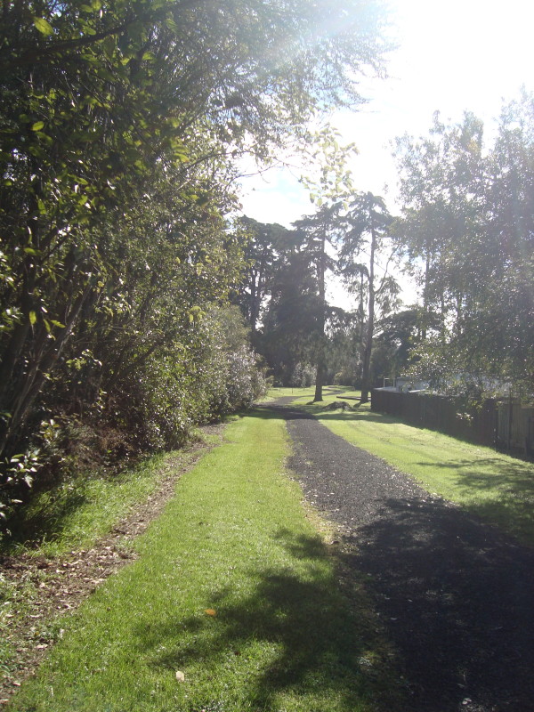 Waimoko Path (Ulrich Esplanade Reserve)