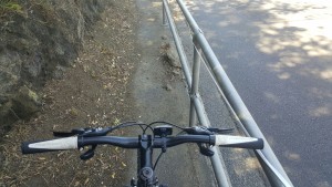 The council trimmed the plants, but left rocks on the footpath that have been there for months now. 