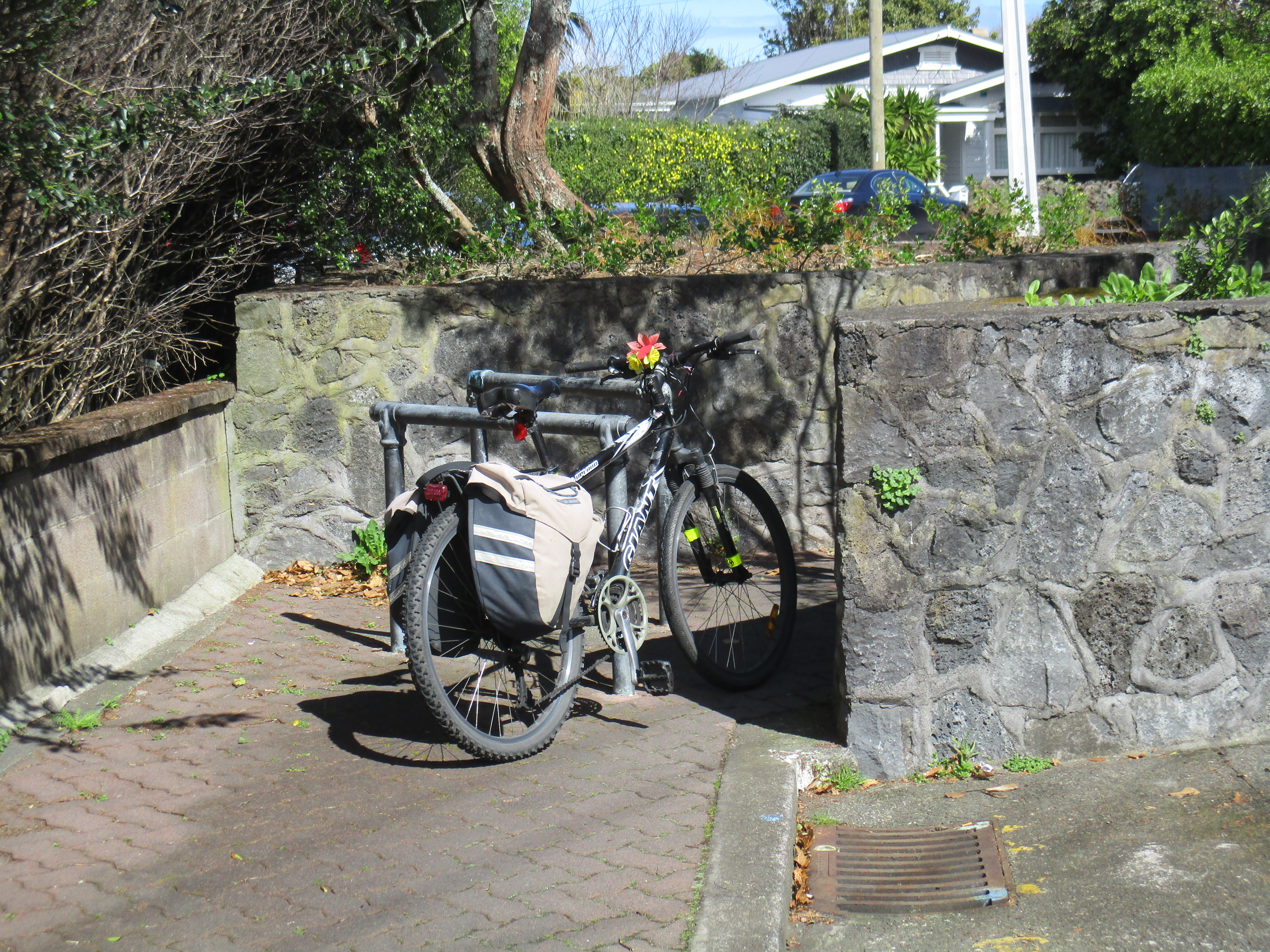 Beatrice the bike at the Sylvan Ave road block Bike Auckland