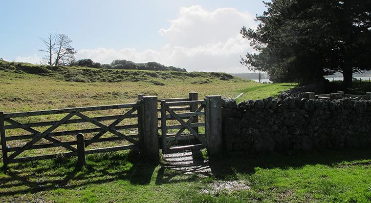 A green hill on a sunny day with a farm gate in the foreground