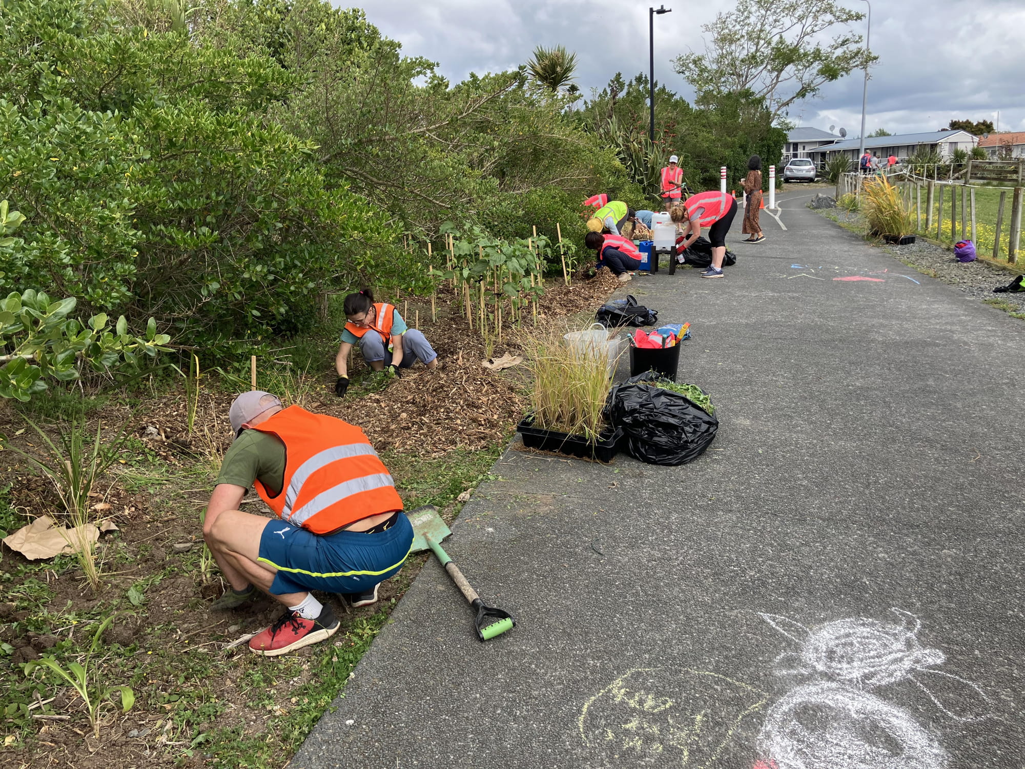 volunteers work on weeding the side of a path