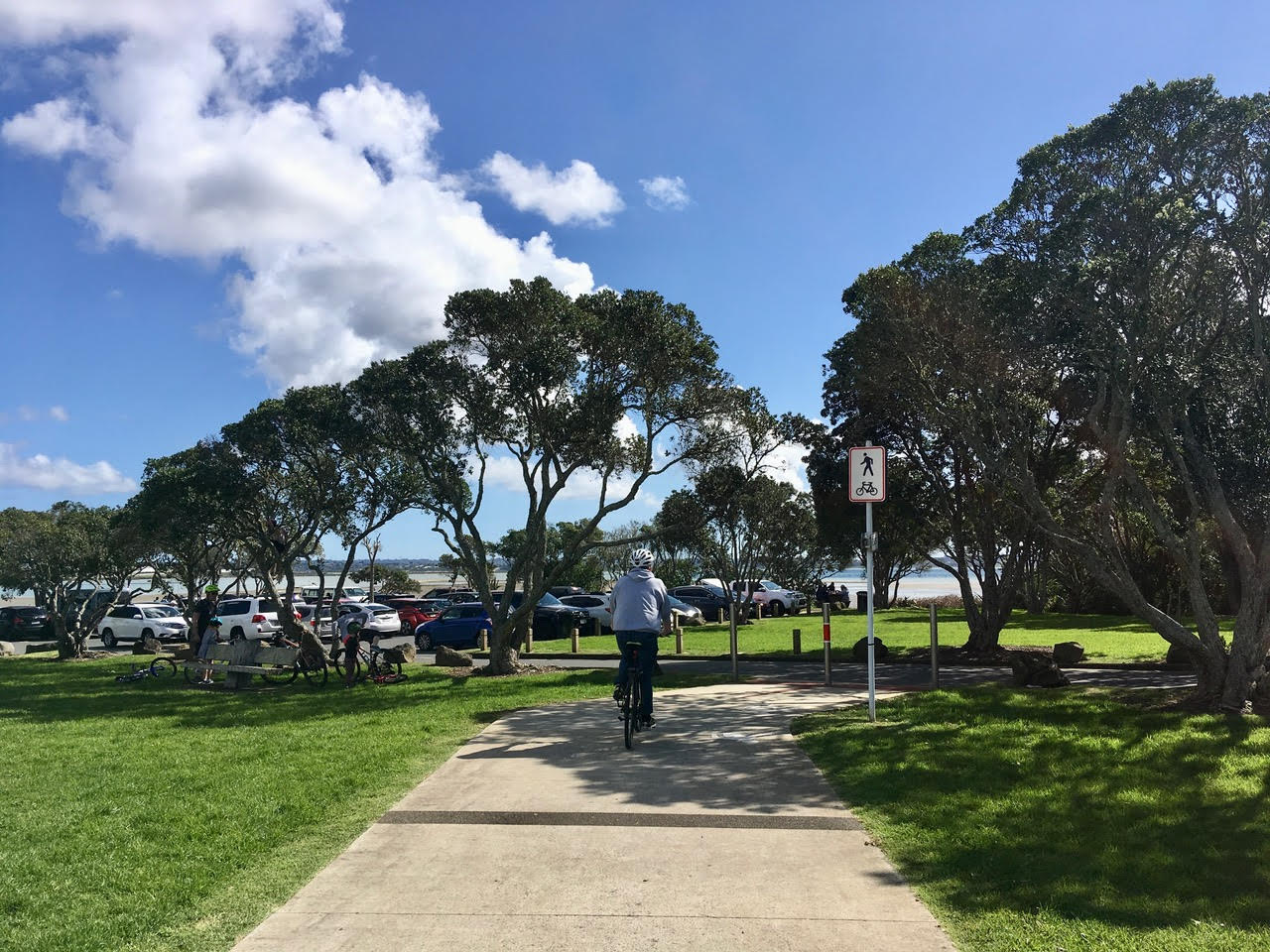 Person cycling between trees in a park