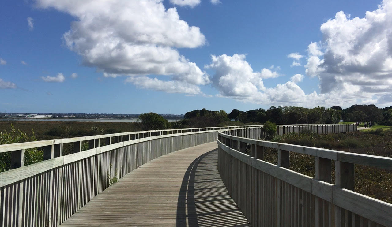 curving boardwalk over mangroves