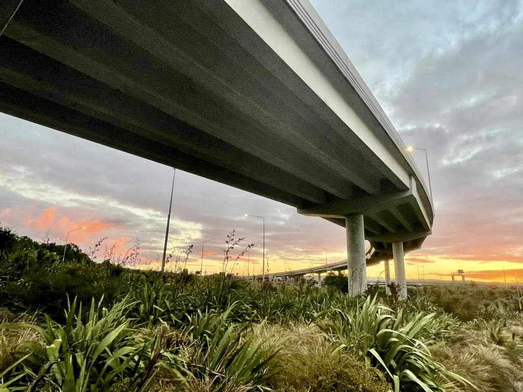 flyover at dusk above native plants