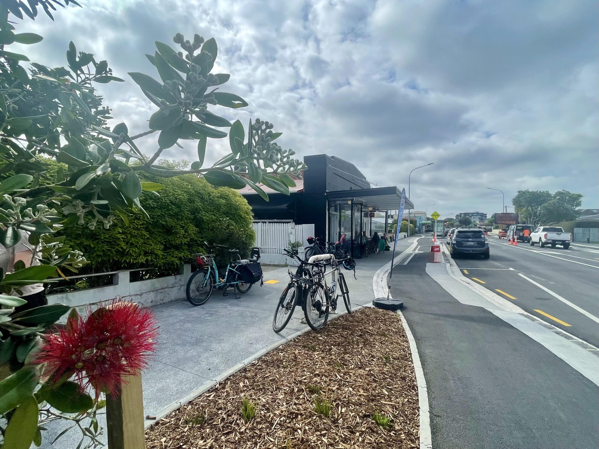 A pohutakawa in the foreground, a separated bike lane leads past a cafe